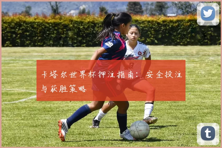 卡塔尔世界杯押注指南:安全投注与获胜策略