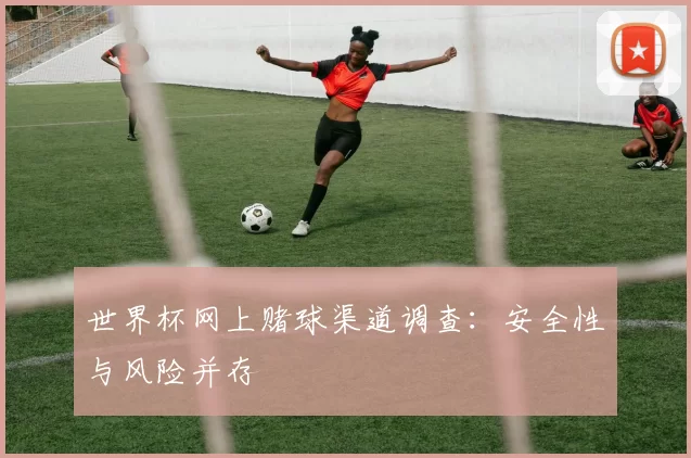 世界杯网上赌球渠道调查:安全性与风险并存