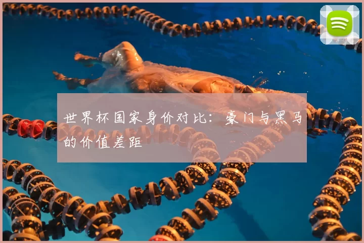 世界杯国家身价对比：豪门与黑马的价值差距