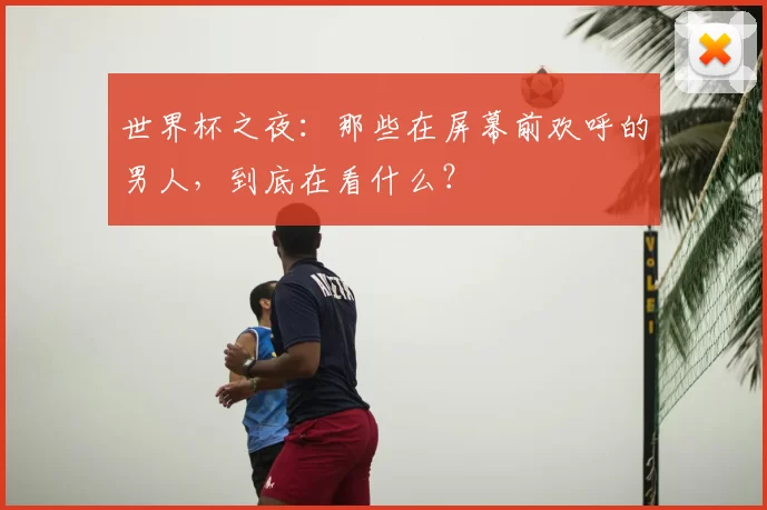 世界杯之夜：那些在屏幕前欢呼的男人，到底在看什么？