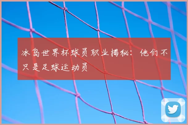 冰岛世界杯球员职业揭秘:他们不只是足球运动员