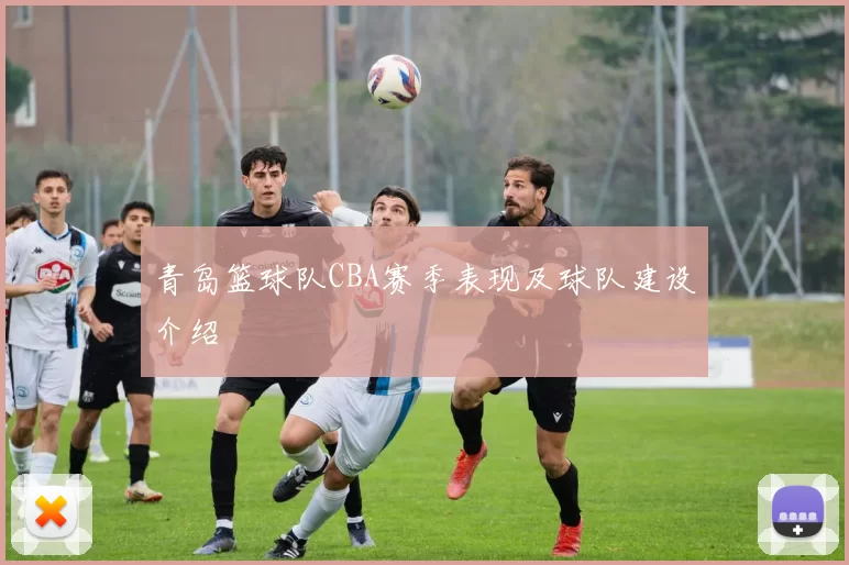 青岛篮球队CBA赛季表现及球队建设介绍