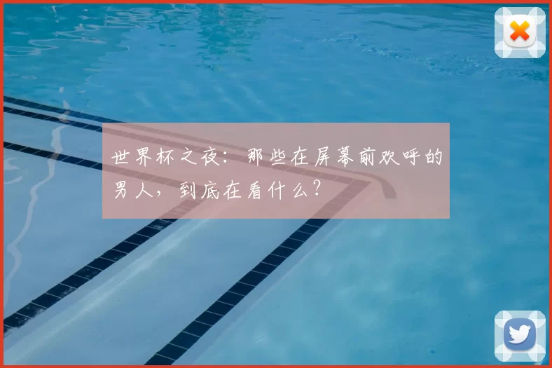 世界杯之夜:那些在屏幕前欢呼的男人,到底在看什么?