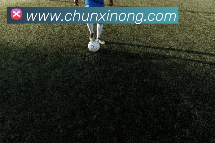 奖项2
